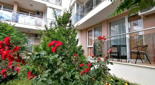 Студия Sineva Del Sol Apartments