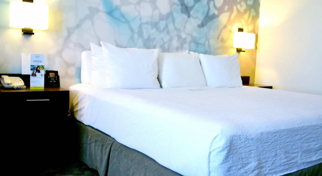 Номер Deluxe Courtyard by Marriott San Luis Potosi