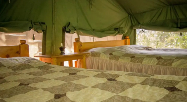 Bushara Island Camp