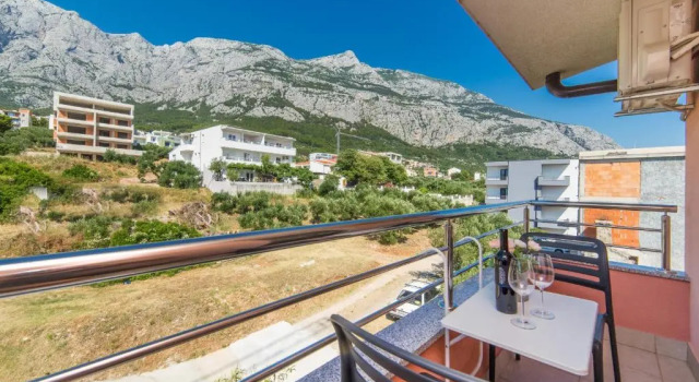 Апартаменты Apartments Deluxe Vučko