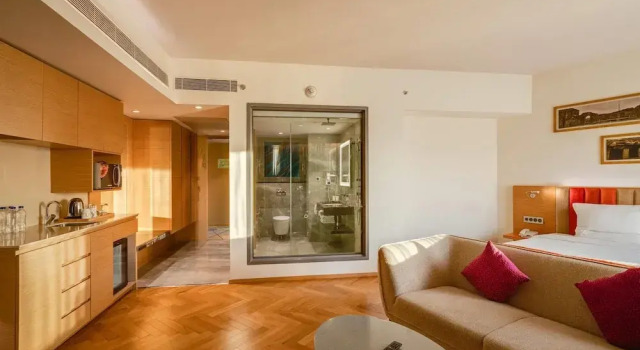 Номер Premier Novotel Vijayawada Varun
