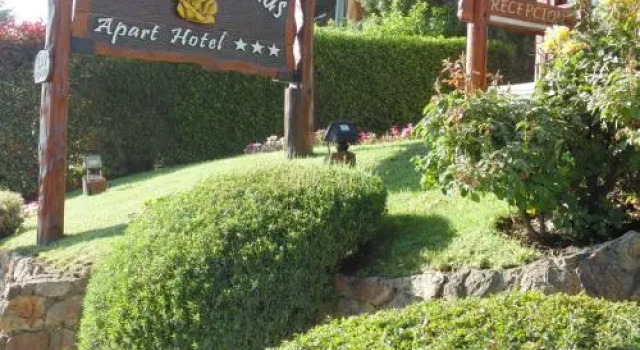 Rosas Amarillas