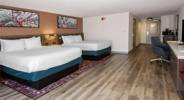 Номер Standard Hilton Garden Inn Hattiesburg