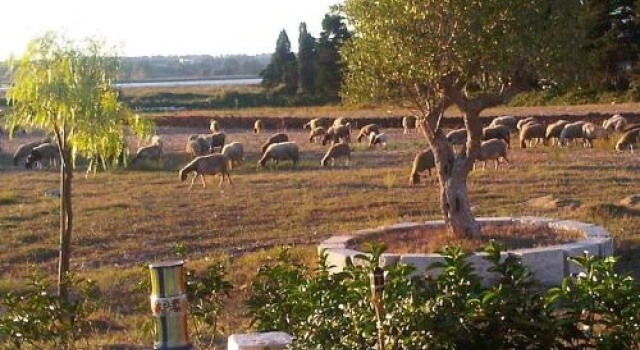 Agriturismo Podere San Michele