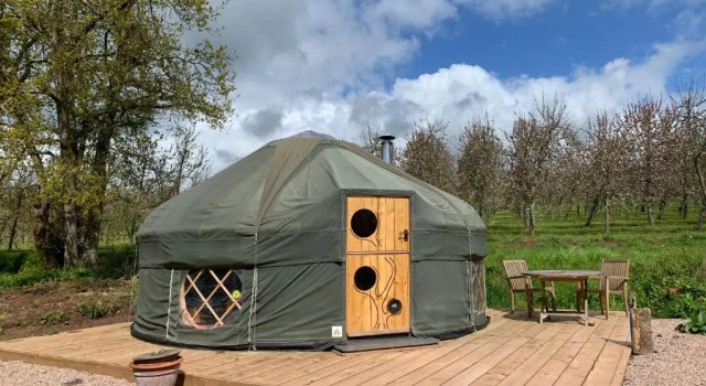 Тент Dragon Orchard Retreat