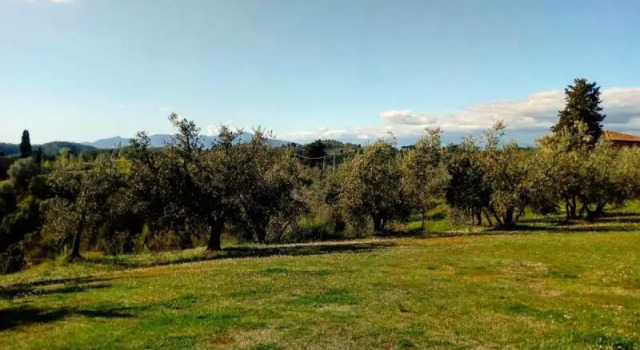 Апартаменты Fattoria di Colleoli