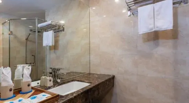 Одноместный номер Deluxe Oriana Hotel