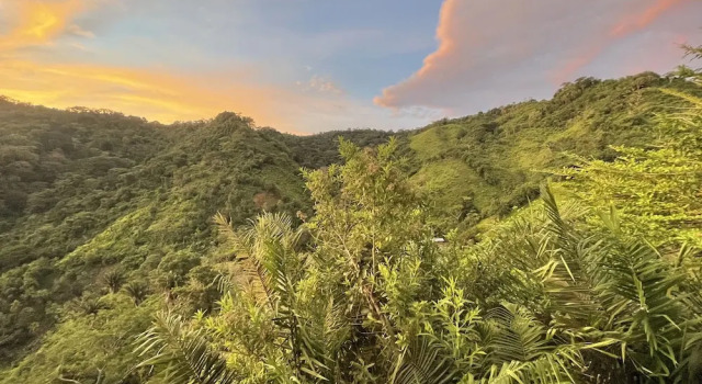 Номер Standard Finca Cuipo