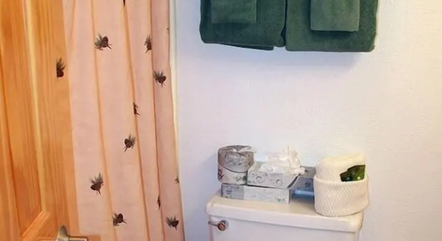 Студия Fawn Valley Inn: 254 1 Bedroom Apts