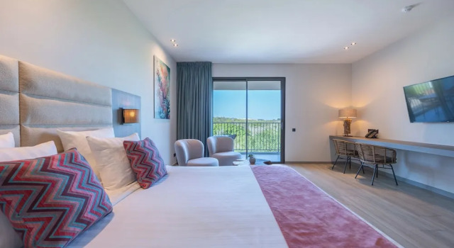 Deluxe pokoj Dolphin Suites