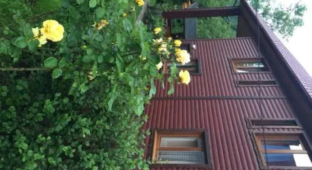 Guest house Nad Tisou, Book Pension Kvasy Transcarpathia