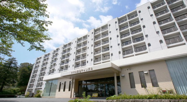 Номер Standard Hotel Kirishima Castle