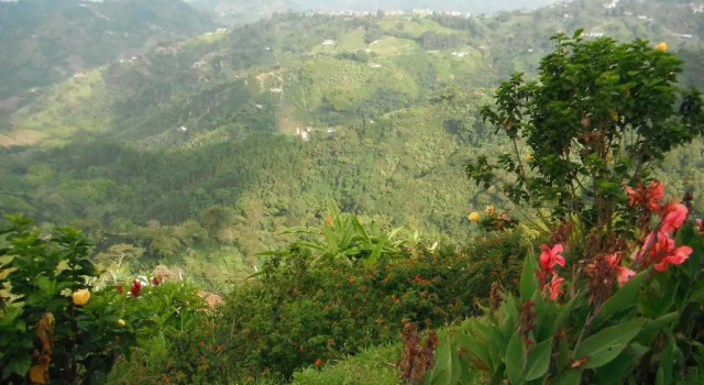 Коттедж Mirador Finca Morrogacho