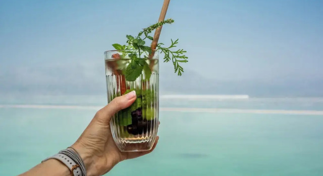 Двухместный номер клубный Standard с балконом и с видом на море Vert Dead Sea by AFI Hotels