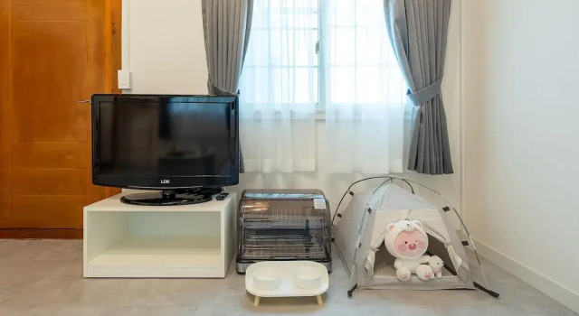 Номер Standard Jeju Dangdangi Dog Pension Black