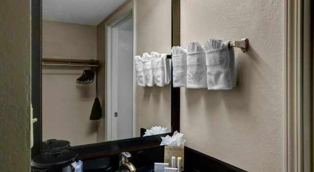 Студия Fairfield Inn & Suites by Marriott Atlanta Alpharetta