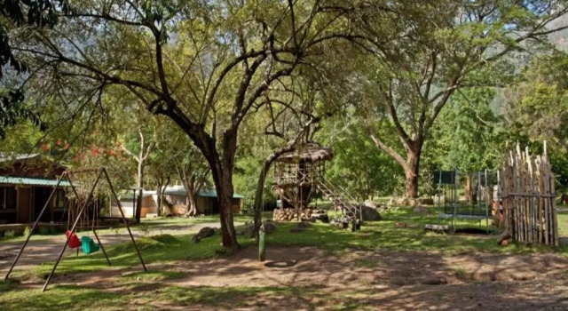 Jungle Hut Resort, Забронировать Отель Отели штата Тамилнада с бассейном, Бассейн
