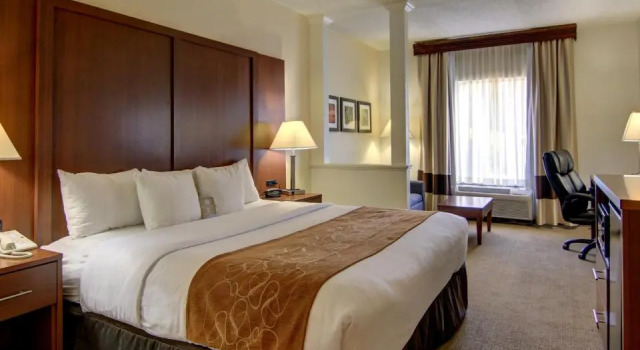 Люкс Standard Comfort Suites Cumming-Atlanta near Northside Hospital Forsyth