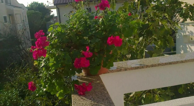 Апартаменты Guesthouse Nihada