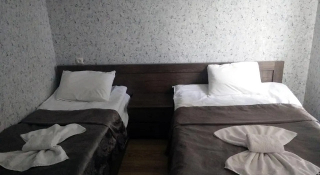 Двухместный номер Standard Hotel Mimino