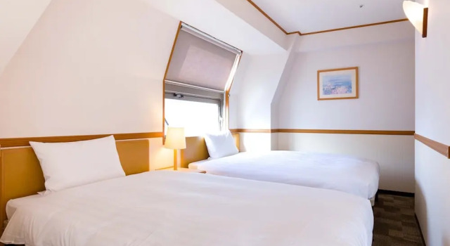 Двухместный номер Deluxe Toyoko Inn Tokyo Shinjuku Kabukicho