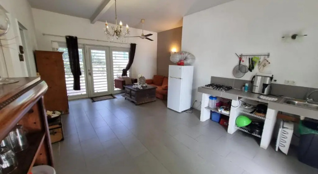 Апартаменты c 1 комнатой Frangipani Apartments