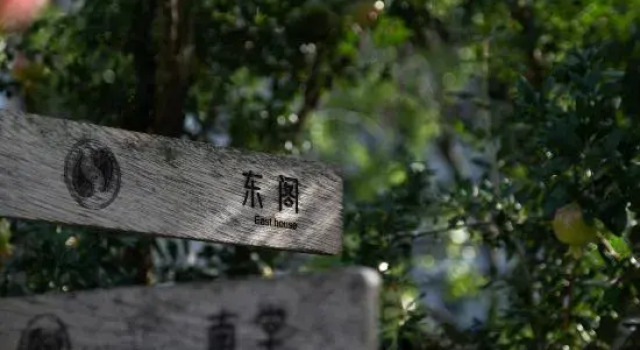 Future Homestay （Xingyi Wanfenglin Store）