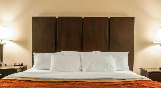 Двухместный номер Standard Comfort Inn & Suites Fenton