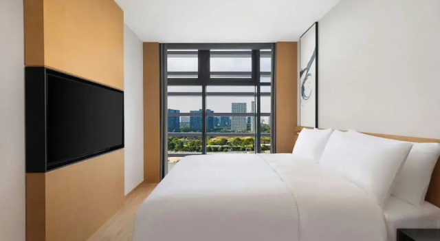 Двухместный полулюкс с видом на город Fairfield by Marriott Hangzhou Future Sci-tech City