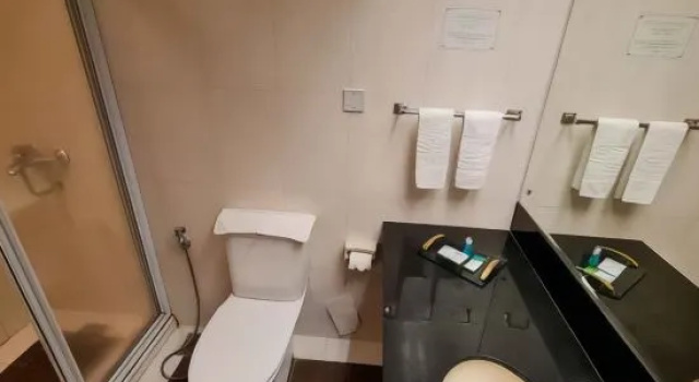 Двухместный номер Deluxe Dynasty Hotel Miri