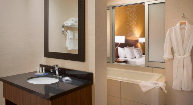 Двухместный люкс Fairfield Inn & Suites by Marriott Ottawa Kanata