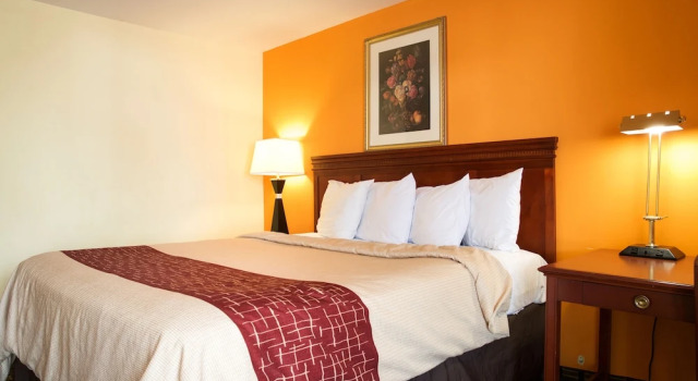 Economy Zimmer Highlander Motel