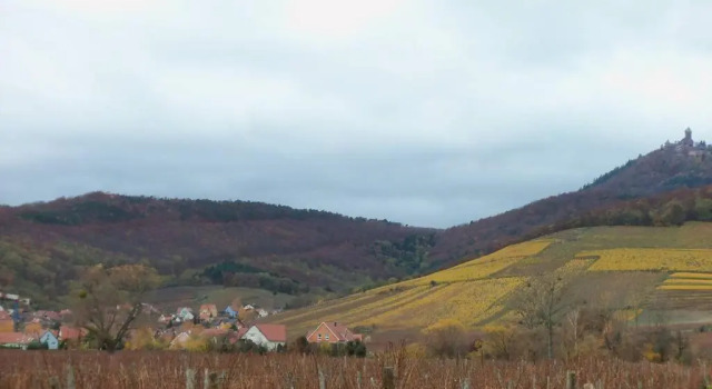 Апартаменты Apartment Route du Vin Centre Alsace