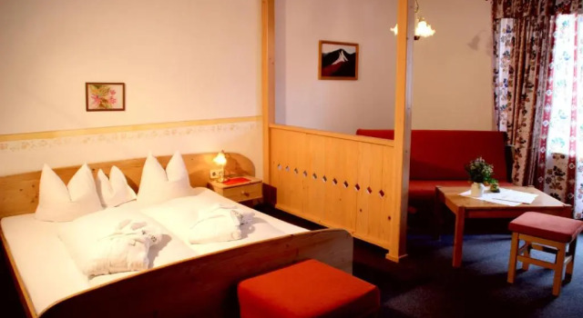 Номер Standard Hotel Pfleger