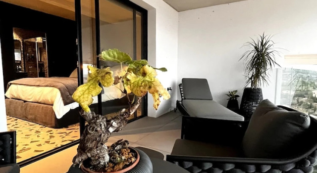 Luxe chambre Suite 28