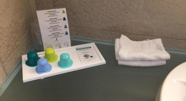 Двухместный номер Executive Ibis Styles Lyon Gorge de Loup Saphir