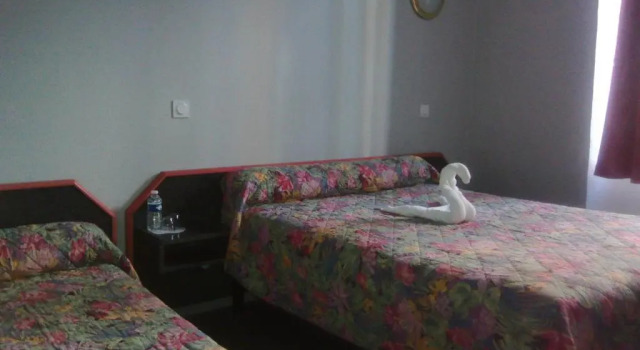 Двухместный номер Standard Hotel Central