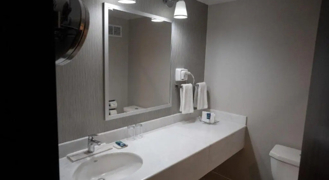 Четырёхместный номер Standard Four Points by Sheraton Saltillo