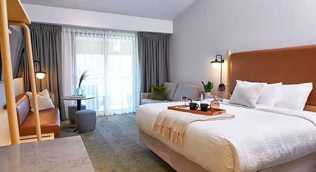 Двухместный Alpine Suite Forest Park Hotel