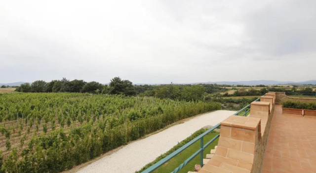 Семейный номер Standard Agriturismo Poggio Al Tufo