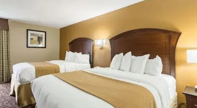 Четырёхместный люкс Quality Inn & Suites Arden Hills - Saint Paul North