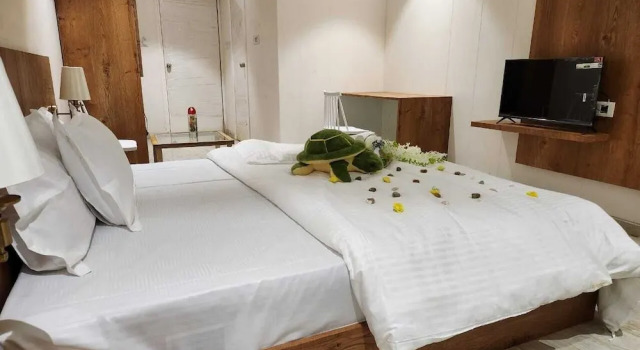 Casa De Turtle