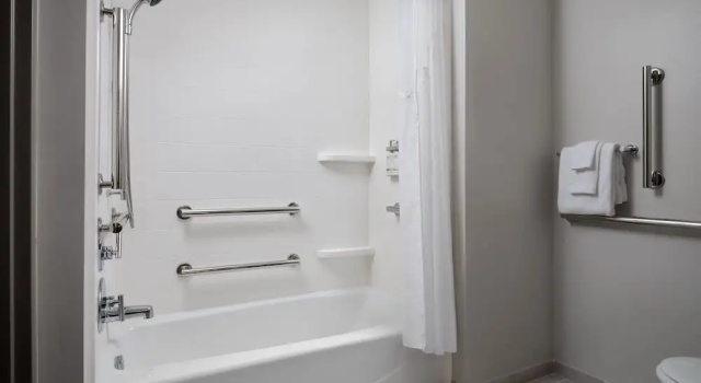 Четырёхместный люкс Holiday Inn Express Hotel & Suites Peru - Lasalle Area by IHG