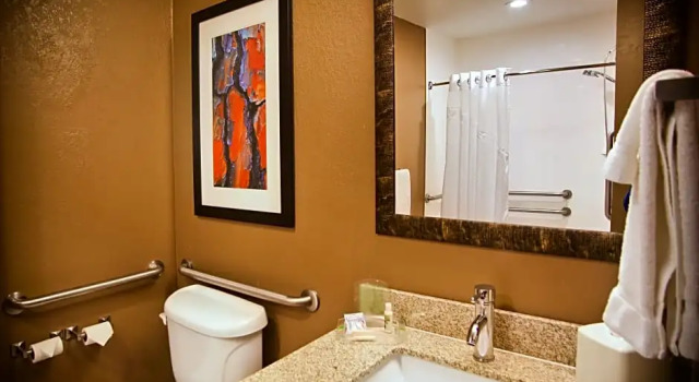 Двухместный номер Standard Holiday Inn Hotel & Suites LA CROSSE