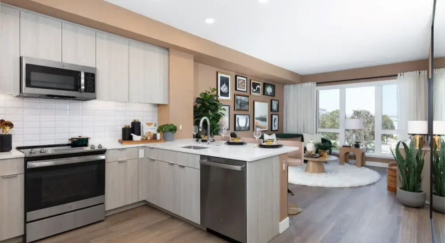 Номер Luxury Vasara Menlo Park Apartments