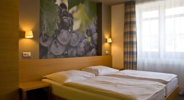 Двухместный номер Standard Hotel Lidový dům