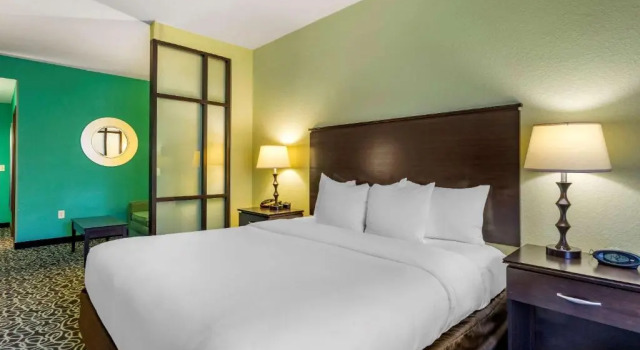 Люкс Hampton Inn by Hilton Tampa Fairgrounds Casino