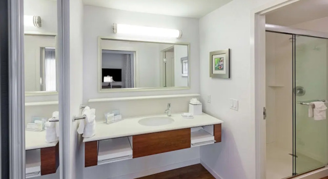 Двухместная студия Hampton Inn & Suites by Hilton Houston North IAH