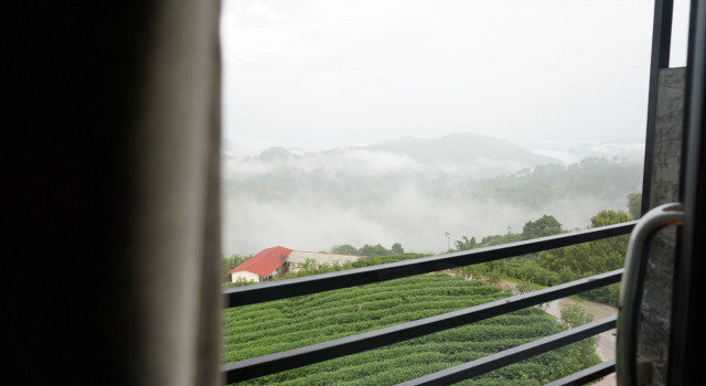 101 Tea Green View, Забронировать Отель  