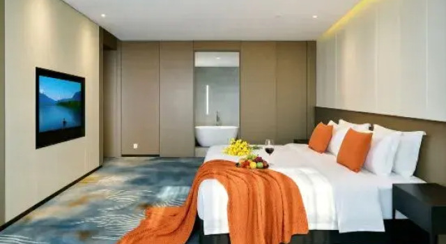Люкс Business NATO·QiXin Begonia Hotel